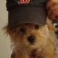 Harrison, a Boston Red Sox fan!!!!